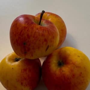 Rød Topaz - Æbletræ, klump 12-14 cm